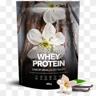Vanilla - Proteina Pura Vida Clipart