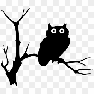 Owl Twig Branch Night Bird - Owl Clip Art - Png Download