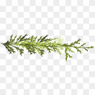 Clip Art Green Leaves Transprent Png Free Ⓒ - Leaf Twig Png Transparent Png