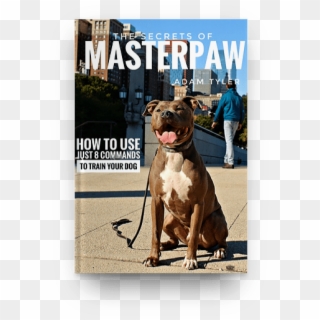 Masterpaw - Com - Dog Catches Something Clipart