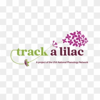 Track A Lilac Logo - Graphic Design Clipart