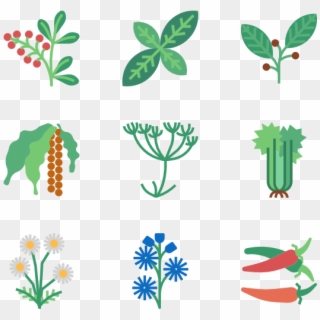 Herb Clipart