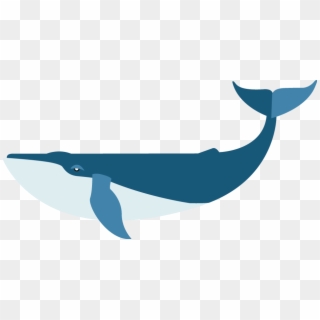 Flat Blue Whale Clipart