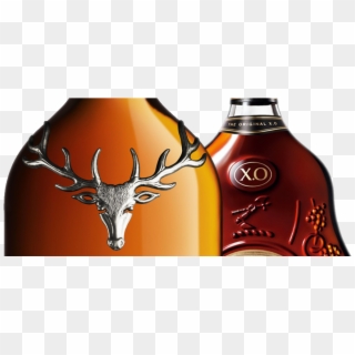 Buy Liquor Singapore Specialist Sell Old - Hennessy Xo Transparent Logo Clipart