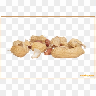 Peanuts, Arachis - Natural Foods Clipart