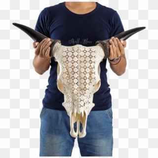 Carved Cow Skull - Firearm Clipart