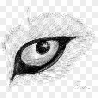 Raven S Eye - Raven Eye Drawing Clipart