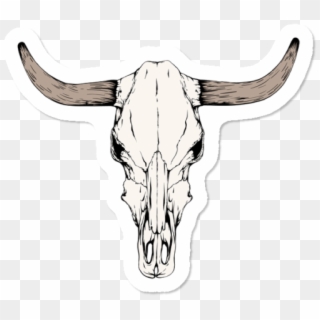 Bull Skull - Cow Skull Clipart