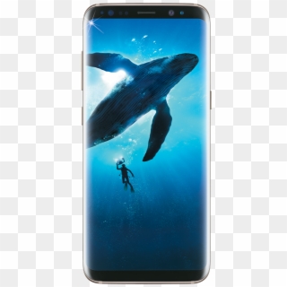 Samsung Galaxy S8 Png - Samsung Galaxy S8 Price In India Clipart
