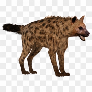 Hyena Png Clipart