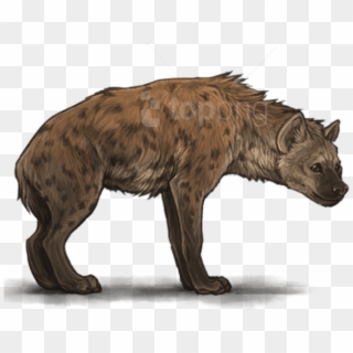 Free Png Hyena Png Images Transparent - Spotted Hyena Clipart
