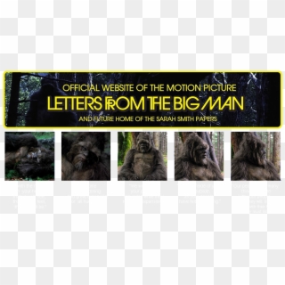 Letters From The Big Man Dvd Clipart