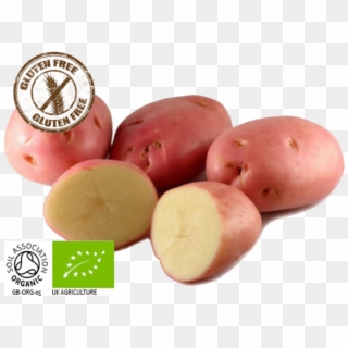Organic Desiree Potatoes - Batata Asterix Clipart