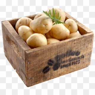 View Certified Potatoes - Russet Burbank Potato Clipart