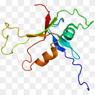 Protein Plce1 Pdb 2bye - Graphic Design Clipart