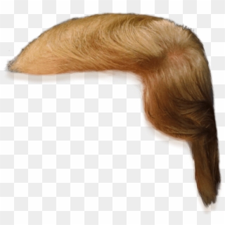 Donald Trump Hair Clip Art - Png Download