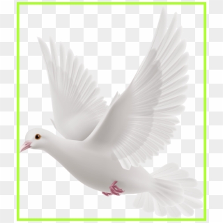 Fascinating Doves Preobrazovannyj Png Clip Art Album - White Pegions For Editing Transparent Png