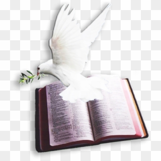 Bible With Dove Logo Clipart