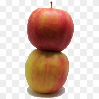 Apple Fruit Png - Frutas Png Clipart