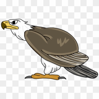 Águila - Bald Eagle Clipart