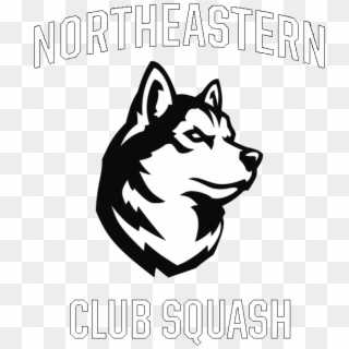 Nu Squash - Northeastern Huskies Clipart