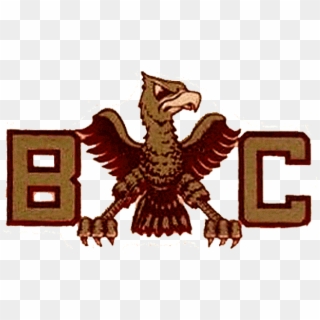 Boston College Eagles Iron On Stickers And Peel-off - Buzzard Clipart