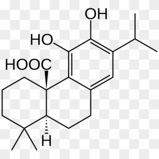 Carnosic Acid - 4 Amino 2 Methylphenol Clipart