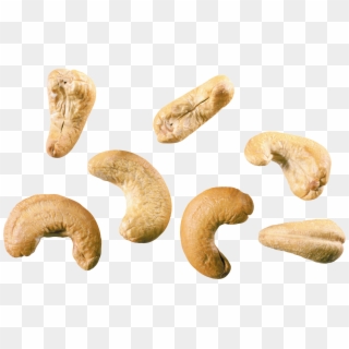 Cashew Nut Png - Peanut Clipart