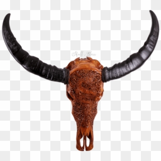 Carved Buffalo Skull - Horn Clipart