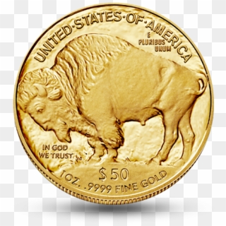 Buffalo Coin Clipart