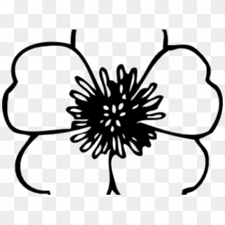 Morning Glory Clipart Mogra - Clipart Flower Black And White Free - Png Download