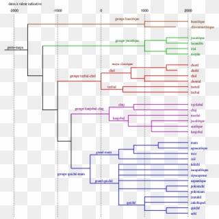 Tree Of Maya Languages - Maya Languages Clipart