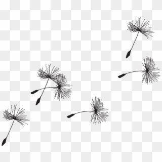 Free Vector Graphic - Dandelion Seed Tattoo Design Clipart