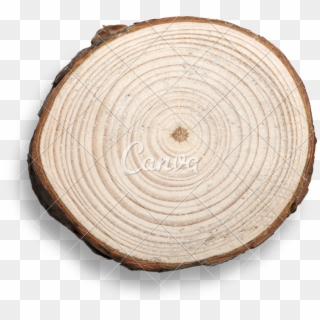 Log Photos By Canva - Plywood Clipart