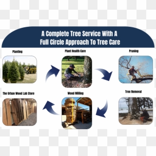 Nationally Accredited By The Tree Care Industry Association - Commercial Motor Clipart