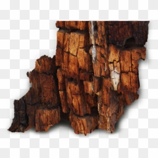 Brown Rot - Wood Decay Png Clipart