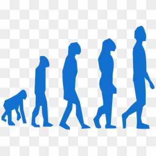 Human Evolution Clipart
