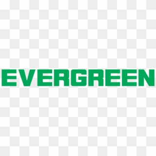 Evergreen Logo Vector - Graphics Clipart