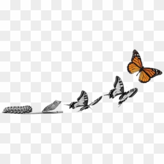 La Mariposa Representa La Necesidad De Cambio Y Mayor - Give Yourself Time Butterfly Clipart