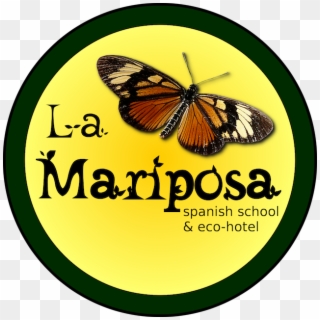 Mariposa Small - Lycaena Clipart