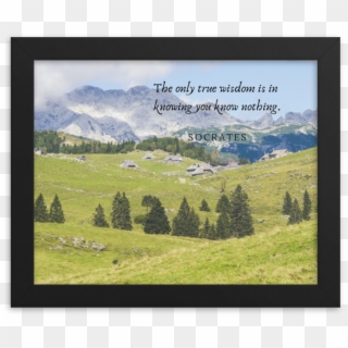 Load Image Into Gallery Viewer, The Socrates - Berge Kuh Clipart