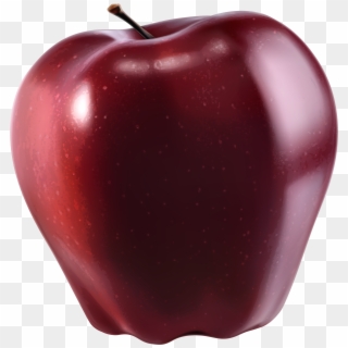 Vector Transparent Red Apple Png Clipart Best Web