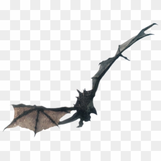 Flying Dragon From Skyrim - Big Brown Bat Clipart