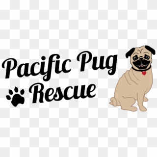 Pacific Pug Rescue Logo Pacific Pug Rescue Alternate Clipart