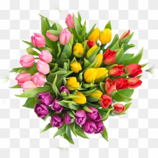 Tulip Bouquet - Fiori Per Un Compleanno 18anni Clipart
