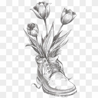 Flower Tulip Pencil Transprent Png Free Download - Flower Drawings Clipart