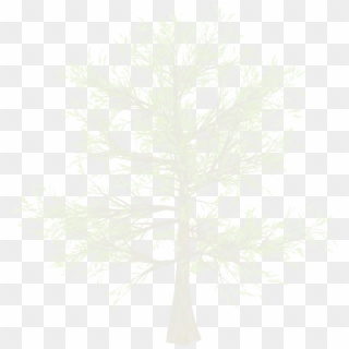 Red Pine Clipart