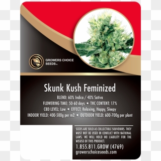 Skunk Kush Feminized Cannabis Seeds - White Haze Clipart