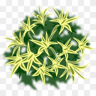 Memory Card - Top View Plants Png Clipart