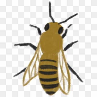 Honey Bee - Honeybee Clipart